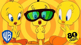 Looney Tunes  2022 The Year of Tweety 💛  WB Kids [upl. by Eicats]