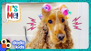 Lets Give This Pups Hair A Makeover  Dodo Kids  Its Me [upl. by Neelyaj]