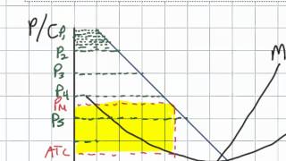 First Degree Price Discrimination and its Effect on Efficiency in a Monopolistic Market [upl. by Fenelia268]