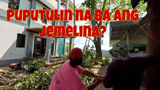 Umaliwalas na sa likod bahay  Ang daming itlog na naisalang [upl. by Claudie]