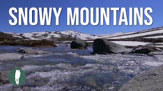 Snowy Mountains Australia in HD AWAKENING [upl. by Zabrine]