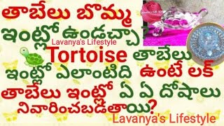 Tortoiseతాబేలు ఇంట్లో ఉండచ్చాTabelu Bomma Intlo Ekkada PettaliTortoise VastuImportance Telugu [upl. by Nellir852]