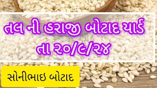 તા૨૦૦૯૨૪તલ ની હરાજીTAL NI HARAJIBOTAD YARDતલ બજારબોટાદલાઇવ હરાજીsonibhaibotad [upl. by Gaeta]