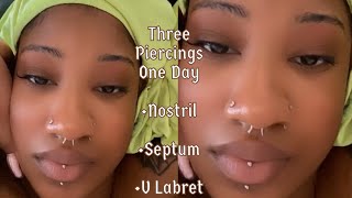 Three Piercings In One Day Nostril  Septum  Vertical Labret [upl. by Lohse365]