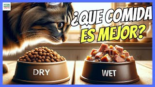 🔴 ¿QUE ES MEJOR COMIDA SECA PIENSO O HÚMEDA LATAS PARA GATOS 🔴 [upl. by Eneryc]