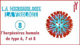 LA MICROVIROLOGIE EPISODE 8 l’herpèsvirus humain de type 6 7 et 8 [upl. by Ches]