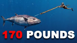 Spearfishing GIANT Dogtooth Tuna 90 ft Deep [upl. by Bouchard]