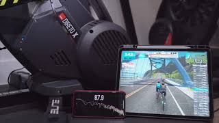 Elite Direto X Review  Sound Test  Zwift Gear Test [upl. by Ahsimat]