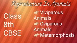 Oviparous and Viviparous Animals Metamorphosis Class 8th CBSE [upl. by Airehtfele]