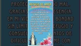 refugio de amor [upl. by Yht]