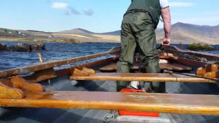 Fishing waterville in kerry [upl. by Downall]