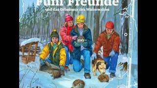 Die Fünf Freunde  Folge 93und das Geheimnis des Winterwaldes [upl. by Fita]