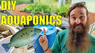 Starting an Aquaponics System  How to Start amp What You Need [upl. by Aynatan]