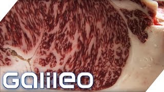 150 Euro pro Portion So schmeckt das edelste Fleisch der Welt  Galileo  ProSieben [upl. by Naneek]