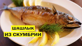 Шашлык из скумбрии на мангале Как потрошить скумбрию не вскрывая брюшко [upl. by Hecht]