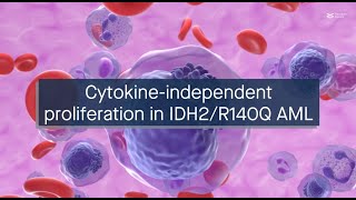 IDH2R140Q mutation causes cytokineindependent proliferation via STAT35 phosphorylation in AML [upl. by Garbers391]