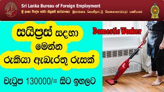 Cyprus job vacancy  Cyprus job Vacancy for sir Lankan  සය්ප්‍රස් රැකියා අවස්ථා [upl. by Noguchi291]