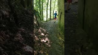 Exploring Daniel Boone National Forest danielboonenationalforest [upl. by Aikim239]