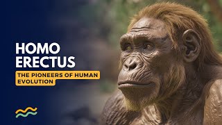 Homo Erectus The Pioneers of Human Evolution AUDIOBOOK  Homo Erectus  Ancient Human [upl. by Seys]