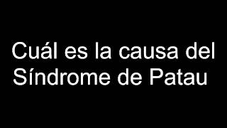 Cuál es la causa del Síndrome de Patau [upl. by Olotrab]