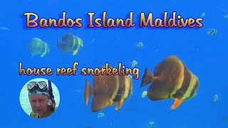 Snorkel Bandos Maldives [upl. by Mcgregor]