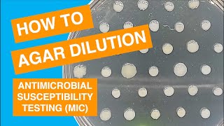 Agar Dilution MIC Susceptibility Test Method [upl. by Sieracki899]