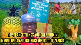 10 Strange Things You Didnt Know About Mwinilunga Noth Western Province Of Zambia 🇿🇲 in Africa [upl. by Gayleen]