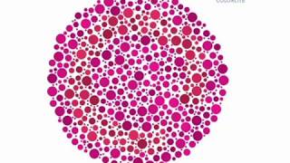 Colorlite tritan color blindness test  wwwcolorlitelenscom [upl. by Derwood]