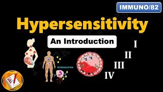 Hypersensitivity  I II III IV An Introduction FLImmuno82 [upl. by Huggins]