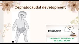 Cephalocaudal development drneerajkumar development growth learner principles [upl. by Adriane]