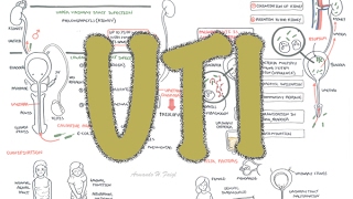 Urinary Tract Infection  Overview signs and symptoms pathophysiology causes and treatment [upl. by Ahsitel]