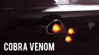 Cobra Venom Back Box Delete Exhaust for Corsa D amp E 1214 [upl. by Randee]