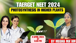 Photosynthesis in Higher Plants  Part 1 Introduction  Botany Class 11 [upl. by Klein688]