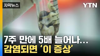 자막뉴스 7주 만에 5배 늘어난 감염자예방하려면  YTN [upl. by Nybbor918]