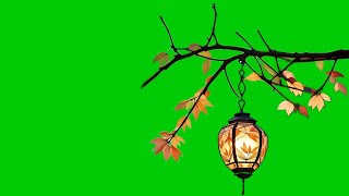 lantern hanging on tree branch green screen video  Chinese lantern green screen video [upl. by Attelliw927]