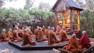 Pali Chanting In The Abhayagiri Buddhist Monastery  Theravada Buddhism [upl. by Ainsworth]