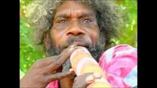 Didgeridoo Dubstep  Raymond Ashley [upl. by Cadmann]