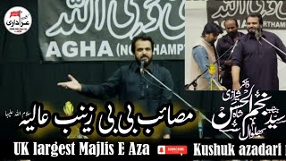 Zakir Syed Najmul Hassan Sherazi  9 june UK majlis  Masaib bibi zainab sa  qayamat khaiz masaib [upl. by Jackson491]