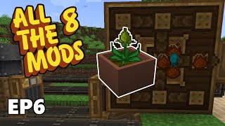 AUTOMATING Mystical Agriculture ESSENCE with CREATE  All The Mods 8 Ep 6  Minecraft 1192 [upl. by Rowen]