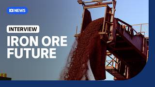 Why the iron ore price is under pressure  The Business  ABC News [upl. by Sunev646]