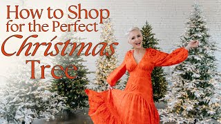 Christmas Tree Shop  My Top 5 Favorite Trees  How to Shop for the Perfect Christmas Tree [upl. by Canotas]