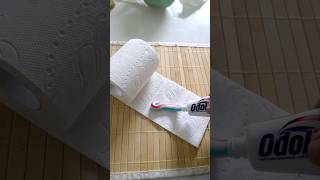 Schmiere Zahnpasta auf Klopapier und Staune was passiert shorts tippsundtricks lifehacks [upl. by Ebocaj]