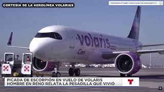 PESADILLA EN VUELO DE VOLARIS PASAJERO CASI MUERE POR MORDEDURA DE ALACRAN [upl. by Marnia]