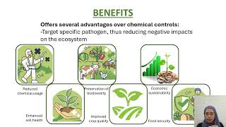 iIDEX2024 The Prospect of Recombinant Phage EndolysinBased Biocontrol for Rice Disease [upl. by Hertzog737]