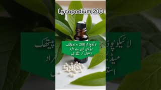 Lycopodium homeopathic medicine लाइकोपोडियम होम्योपैथिक मेडिसिन homeopathicdoctors drarshad [upl. by Setsero]