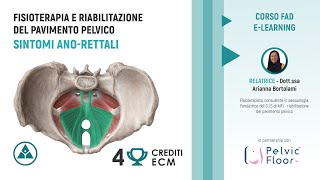 Presentazione corso FAD Pavimento Pelvico e Sintomi AnoRettali Drssa Arianna Bortolami [upl. by Putnam]