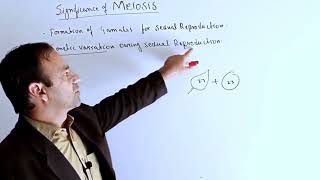 significance of meiosis youtube biology [upl. by Klimesh80]