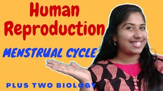 Menstrual Cycle in Malayalam  Human Reproduction  Chapter 3 NCERT  Part6 [upl. by Ahseen428]