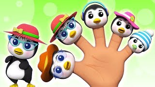 famille pingouin doigt  chansons rimes  poèmes denfants  Penguins Finger Family  Finger Family [upl. by Radborne]