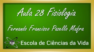 Fisiologia Aula 28  Sistema Circulatório  Fluxo da corrente no ciclo cardíaco [upl. by Luapnaej]